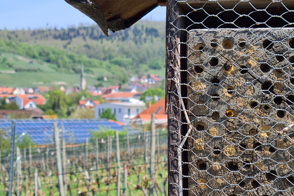 Insektenhotel vor Kulisse von Ebringen